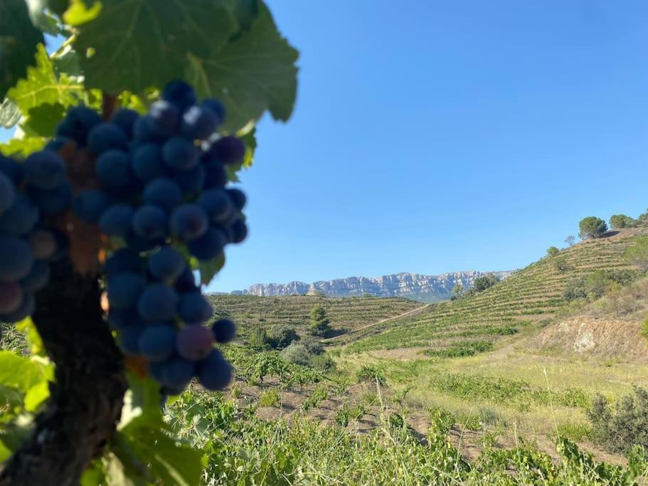 Appartamento Vinyes Del Priorat Cornudella de Montsant Esterno foto