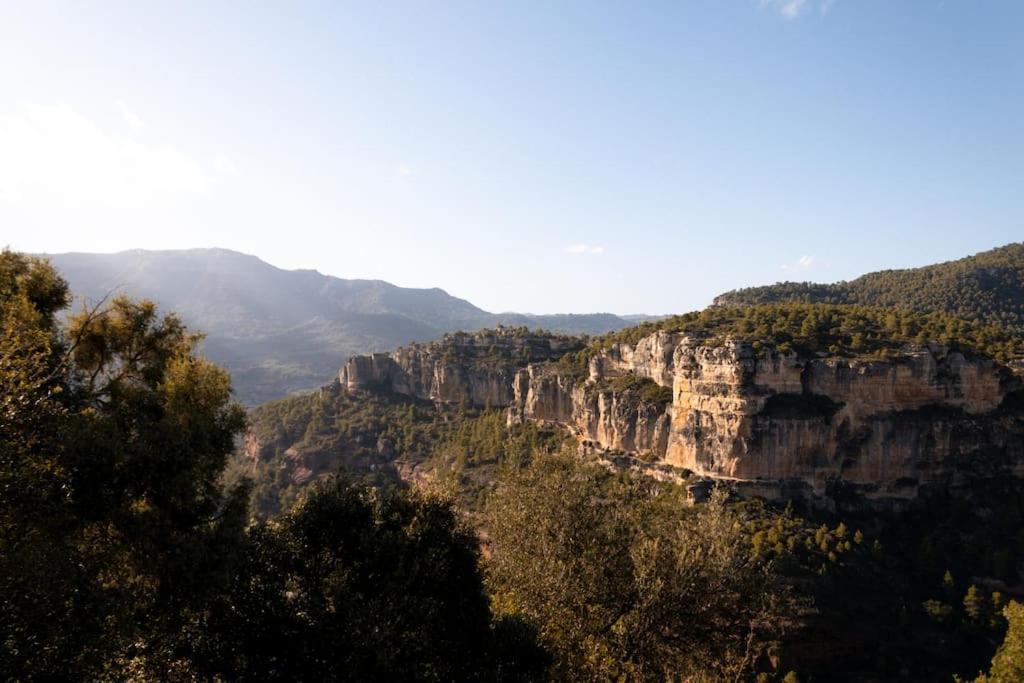 Appartamento Vinyes Del Priorat Cornudella de Montsant Esterno foto